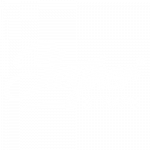 steyner_partner_logo_02